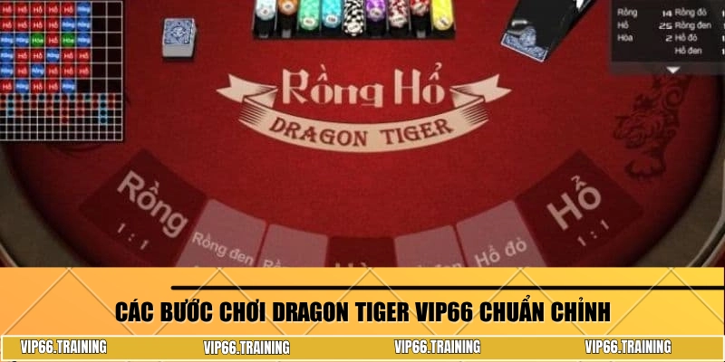 Các bước chơi Dragon Tiger Vip66 chuẩn chỉnh