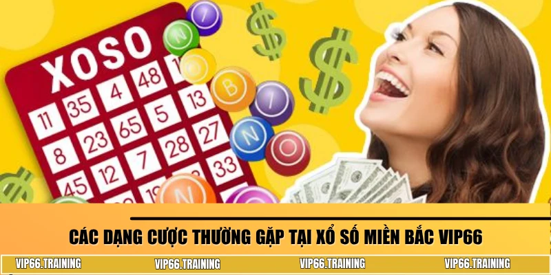Các dạng cược thường gặp tại xổ số miền Bắc VIP66