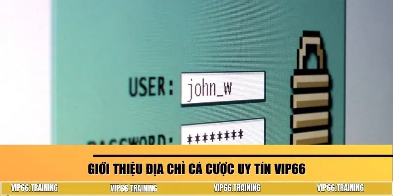 Giới thiệu địa chỉ cá cược uy tín Vip66