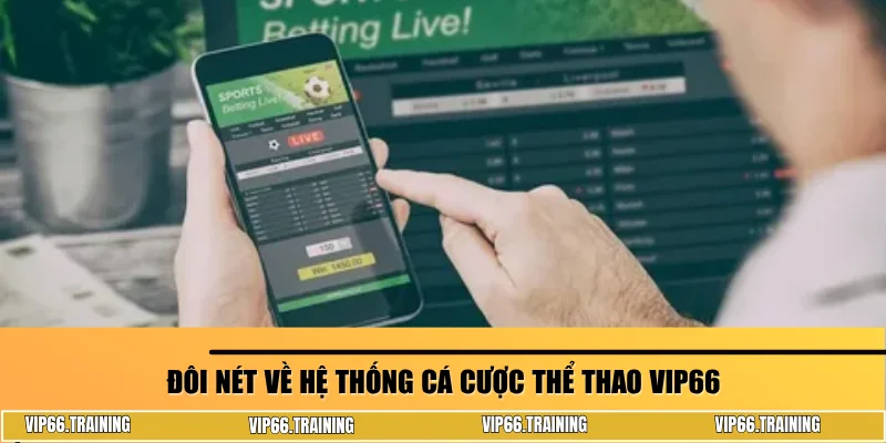 Đôi nét về hệ thống cá cược thể thao Vip66