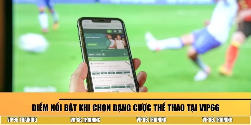 Điểm nổi bật khi chọn dạng cược thể thao tại Vip66