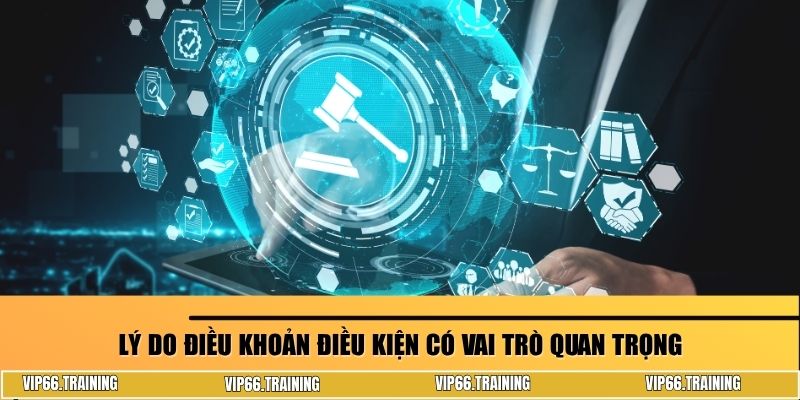 Lý do điều khoản điều kiện có vai trò quan trọng