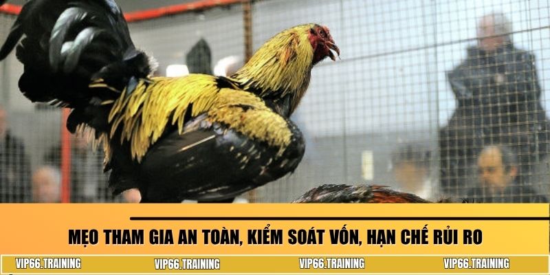 Mẹo tham gia an toàn, kiểm soát vốn, hạn chế rủi ro