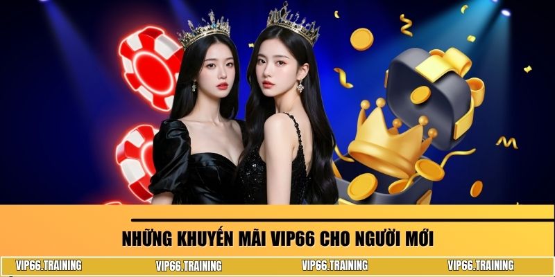 Những khuyến mãi VIP66 cho người mới