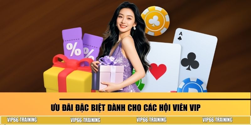 Ưu đãi đặc biệt dành cho các hội viên VIP